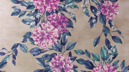 Rhodora W7022-02